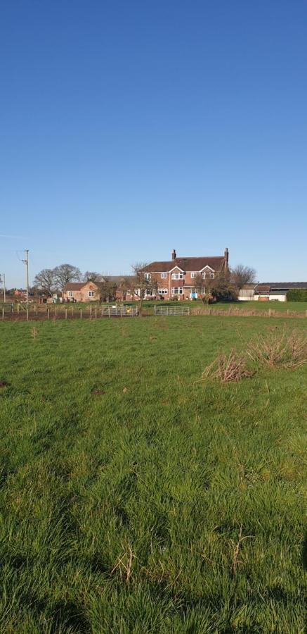 The Moorhead 3*