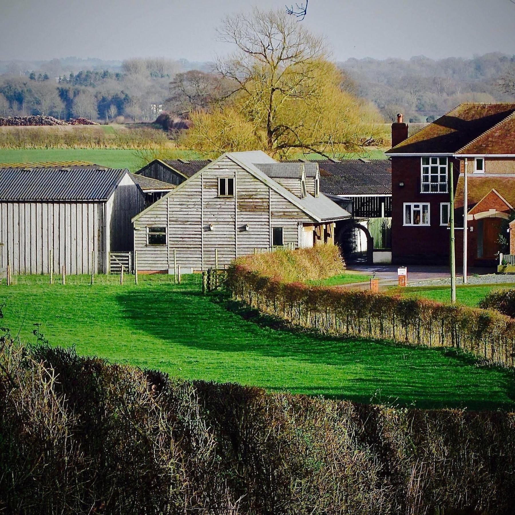 The Moorhead